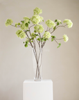 Large Hortensia tak 110 cm green