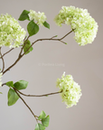 Large Hortensia tak 110 cm green