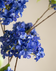 Large Hortensia tak 110 cm donker blauw