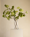 Boeket Hortensia leaf groen 120 cm
