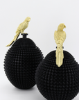 Jar parrot fruit