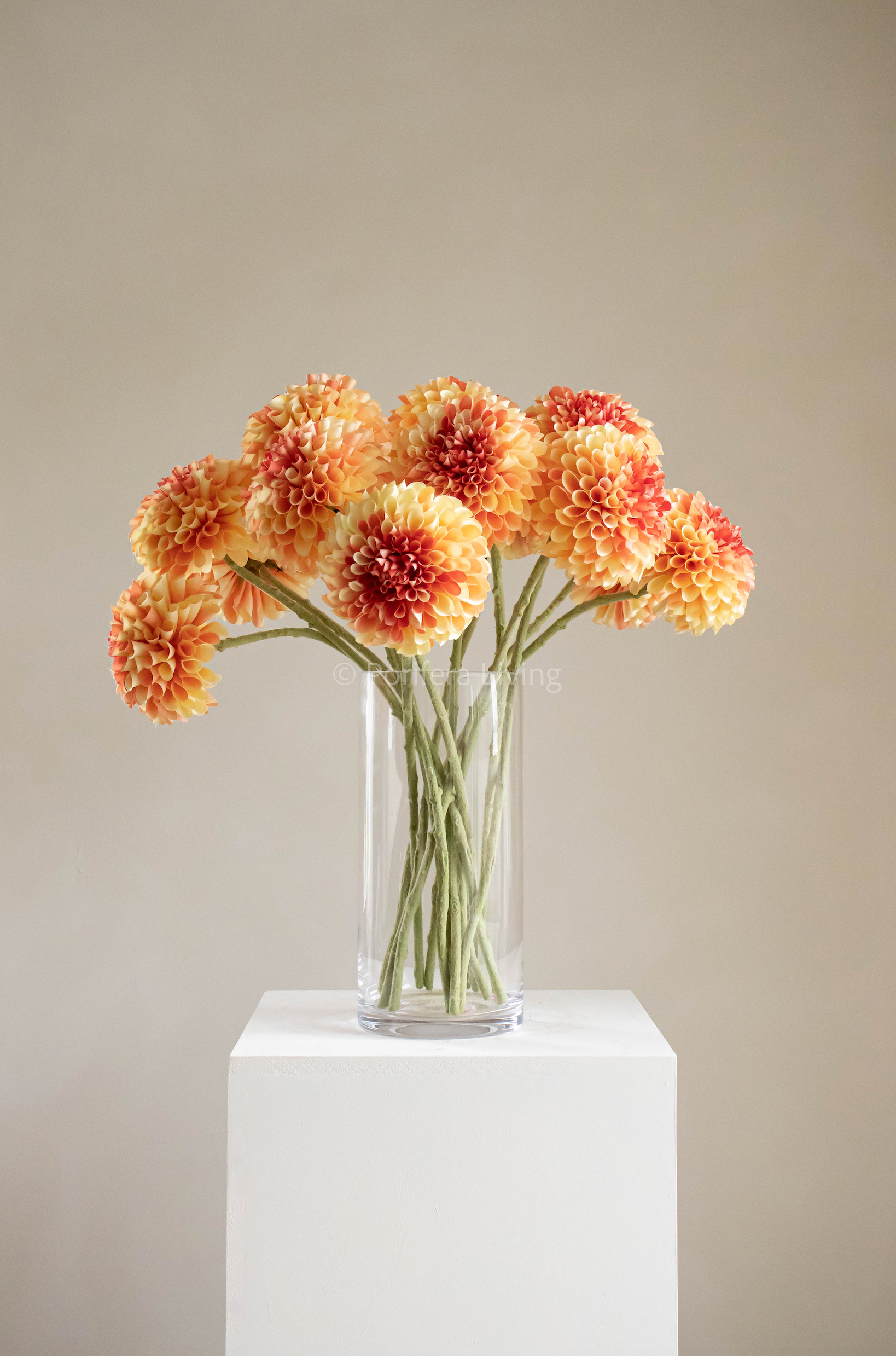 Curled dahlia tak 64 cm