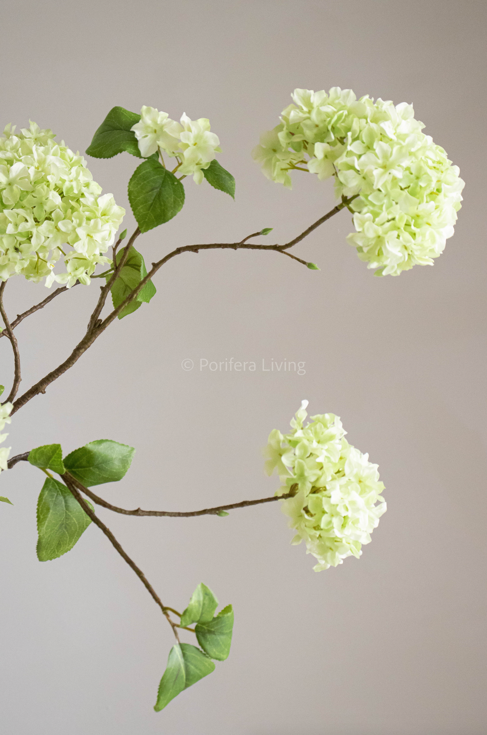 Large Hortensia tak 110 cm green