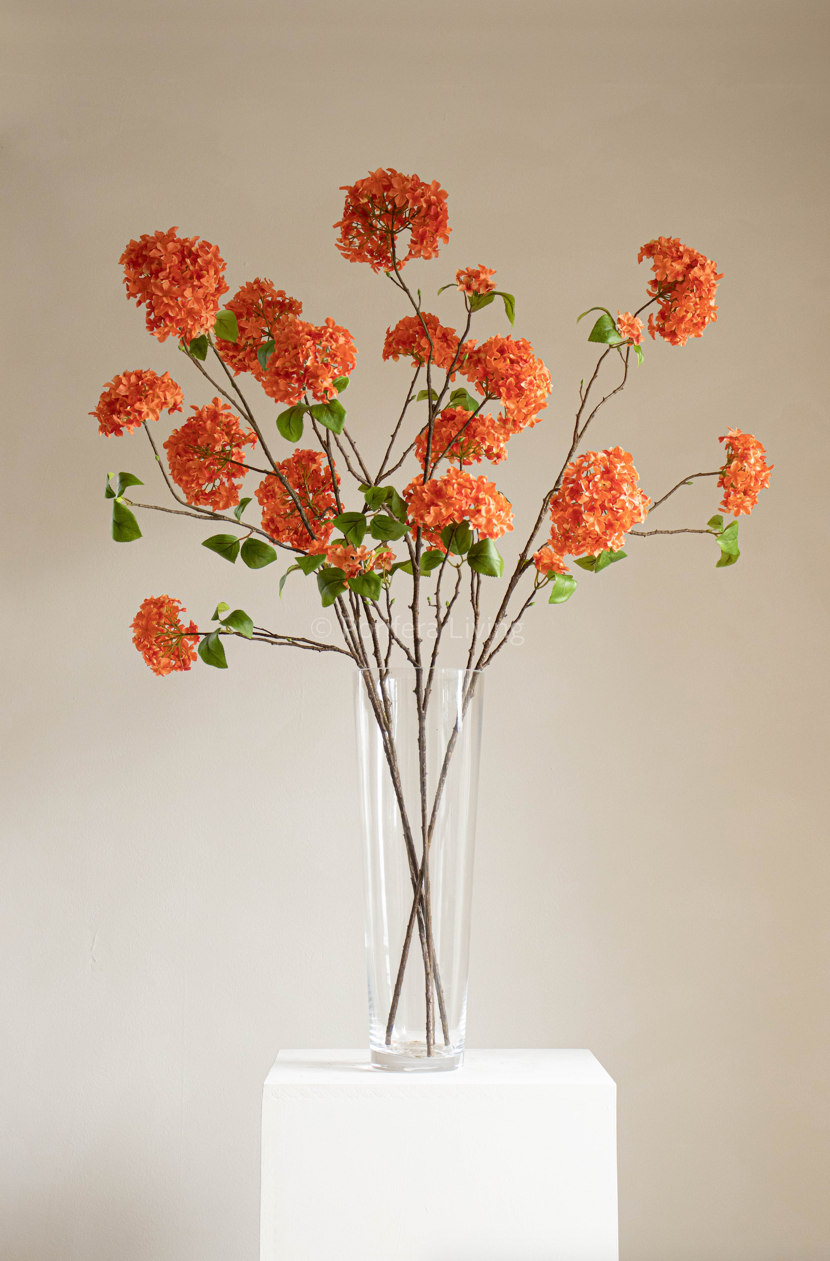 Large Hortensia tak 110 cm oranje